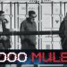 Hey, Bill Barr!… Kentucky Supreme Court Rules on Cellphone Geo-Tracking Case — Proving Premise Behind “2000 Mules” Is VALID and Very Much in Use Today