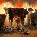 Dying Cattle