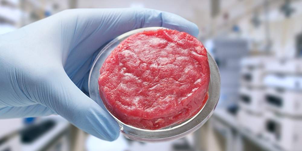 Lab Grown Meat