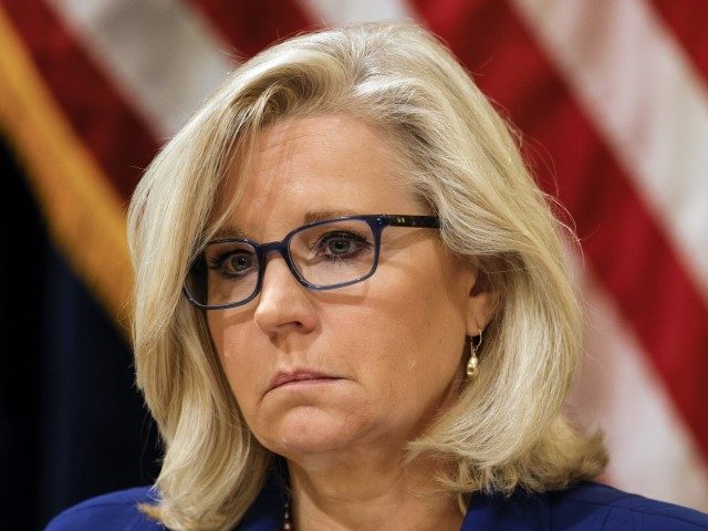 Liz Cheney Funded by Obama, Hillary Donors in GOP Primary