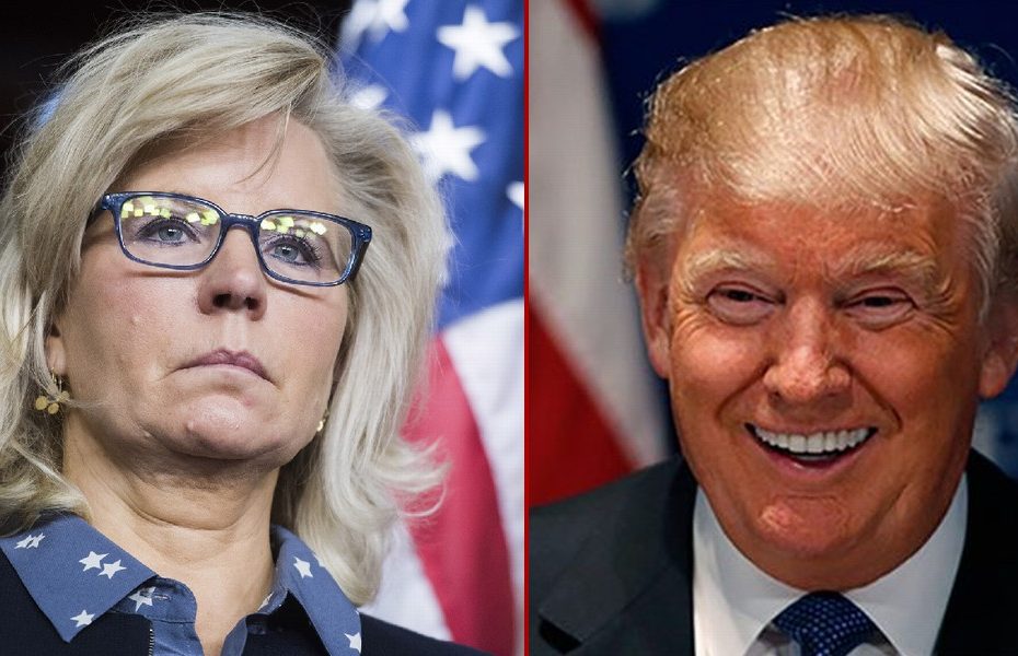 Liz Cheney is Getting Destroyed by Trump-Backed Challenger in New Poll