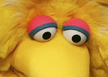 In the Atmosphere of Identity, the Sky's the Limit: Swoon to the Sweet Song of 'Bird Gender'