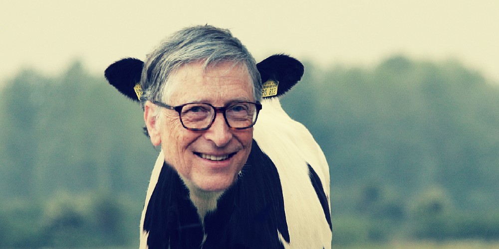 Bill Gates Beef