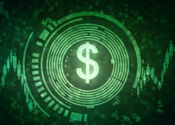 Central Bank Digital Currencies