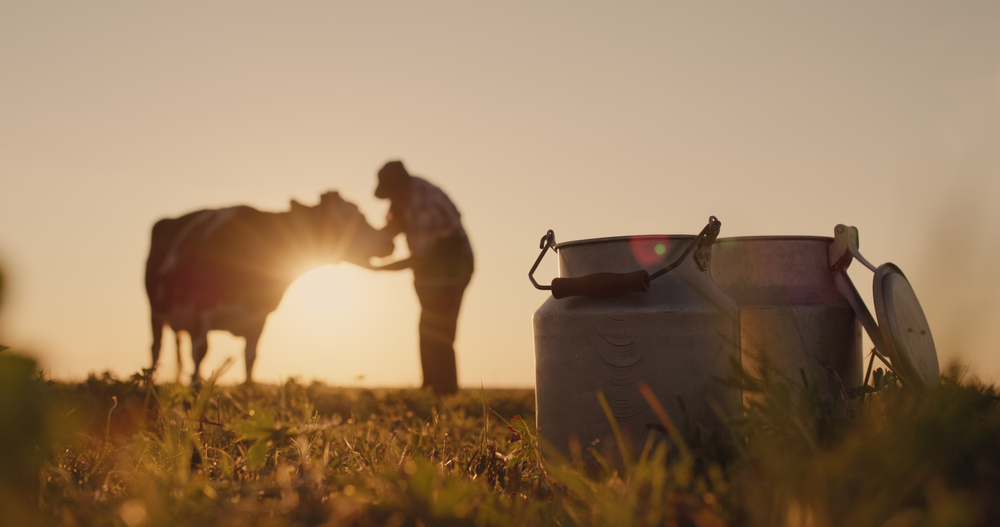 Inflation Is Hammering Rural America, Report Shows