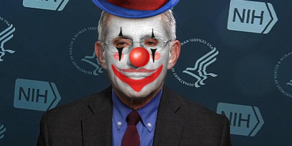 Fauci Clown