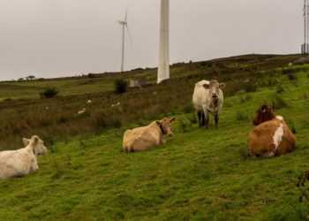 Great Reset: Government to Target Farmers with Carbon Emissions Cuts of Around 28 Per Cent
