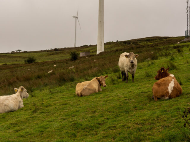 Great Reset: Government to Target Farmers with Carbon Emissions Cuts of Around 28 Per Cent