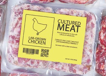 Lab Grown Meat