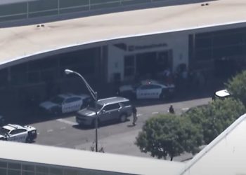 UPDATE: Woman Shot by Police After Opening Fire at Dallas Airport