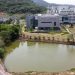 NIH, NIAID officials repeatedly expressed concern about 'gain-of-function' experiments being conducted at Wuhan lab: Emails