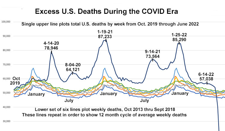 Excess Deaths in America Are Still Excessive