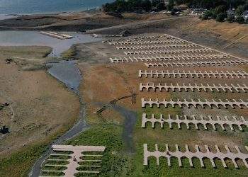 California Farmers