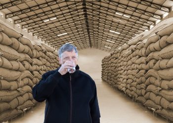 Food Storage Bill Gates