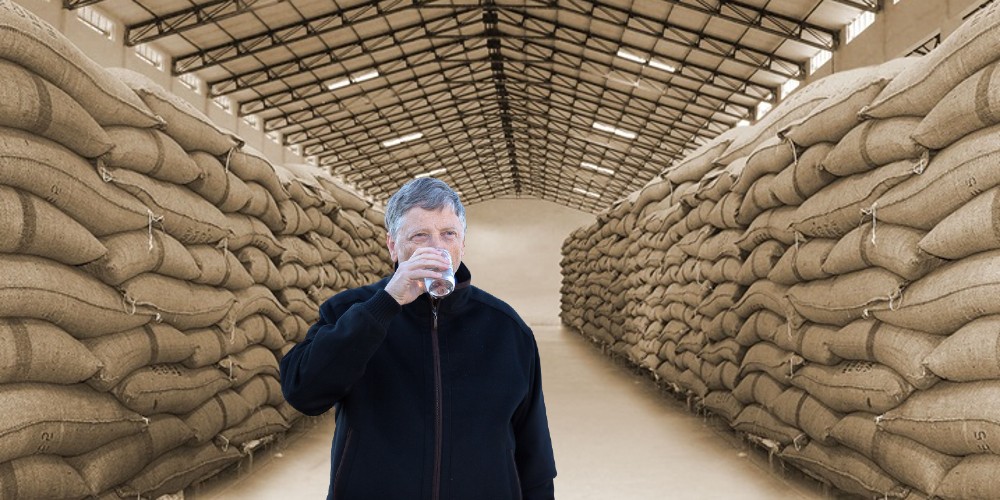 Food Storage Bill Gates