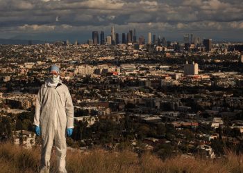 A Deeper Dive Into the CDC Reversal