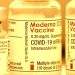 Vaccines Metal Toxins