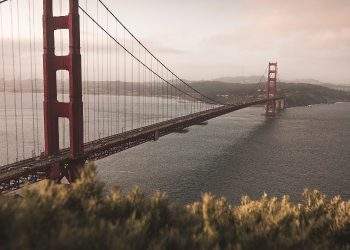 California (1)