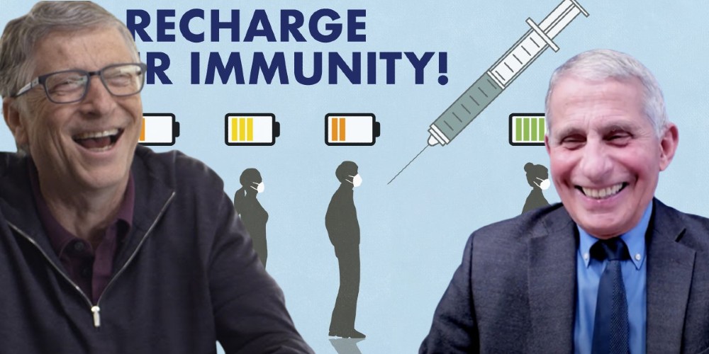 Recharge Your Immunity