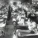 Spanish Flu
