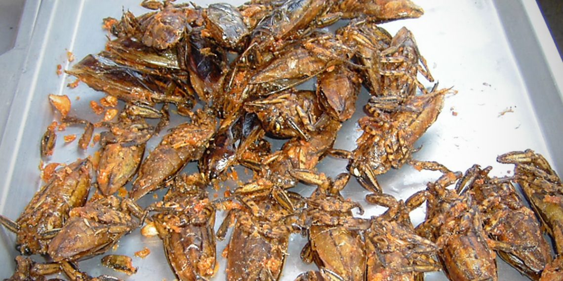 Turns Out the Bugs Scientists Urge You To Eat Might Be Loaded With Parasites