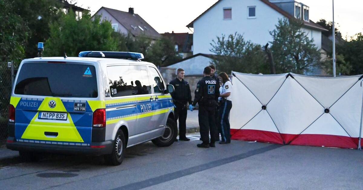 'Allahu Akhbar' Screaming Afghan Migrant With Prior Arrests Goes on Stabbing Spree in Germany (Video)