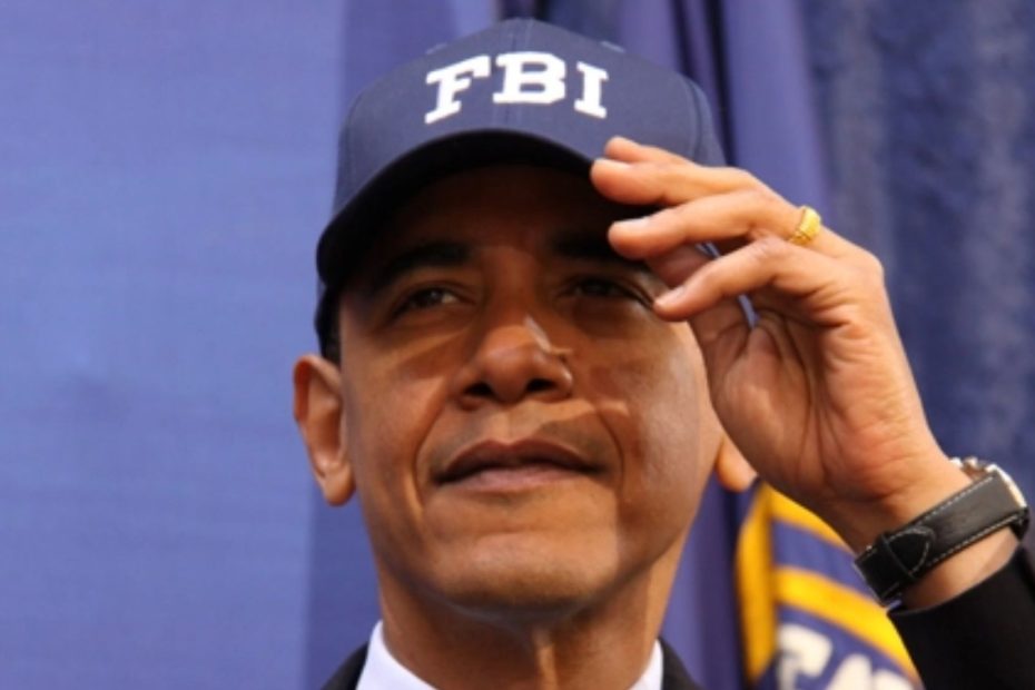 Senior FBI Analyst Reveals Obama FBI offered Christopher Steele $1 million for ‘Dirt’ on Trump