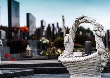Covid Deaths