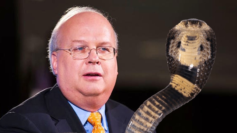 Karl Rove