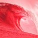 Moronic Democrats Gave Us Some Tremendous GOP Nominees