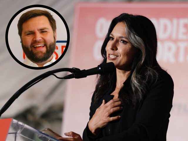 Tulsi Gabbard Endorses J.D. Vance, Blasts ‘Warmongering’ Tim Ryan