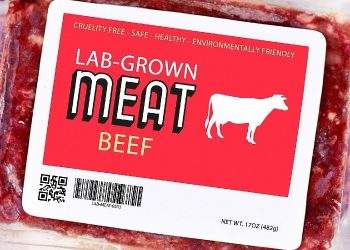 Lab-Grown Meat