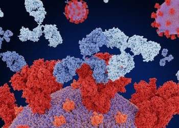 Spike Protein Vaccine