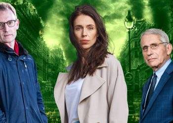 Of Economic Crises and Pandemics