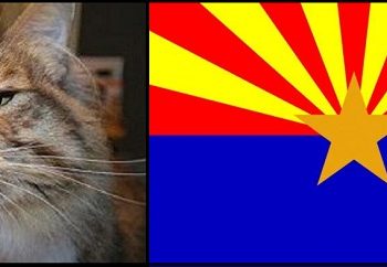 Fishy Business – Arizona Mandatory Recounts Revealing Significant GOP Gains, Hobbs Sealed Results Until After Her Lawsuit Completed