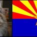 Fishy Business – Arizona Mandatory Recounts Revealing Significant GOP Gains, Hobbs Sealed Results Until After Her Lawsuit Completed