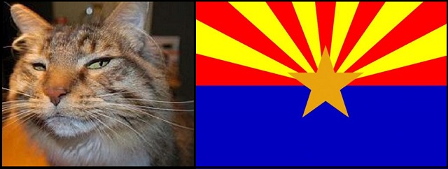 Fishy Business – Arizona Mandatory Recounts Revealing Significant GOP Gains, Hobbs Sealed Results Until After Her Lawsuit Completed