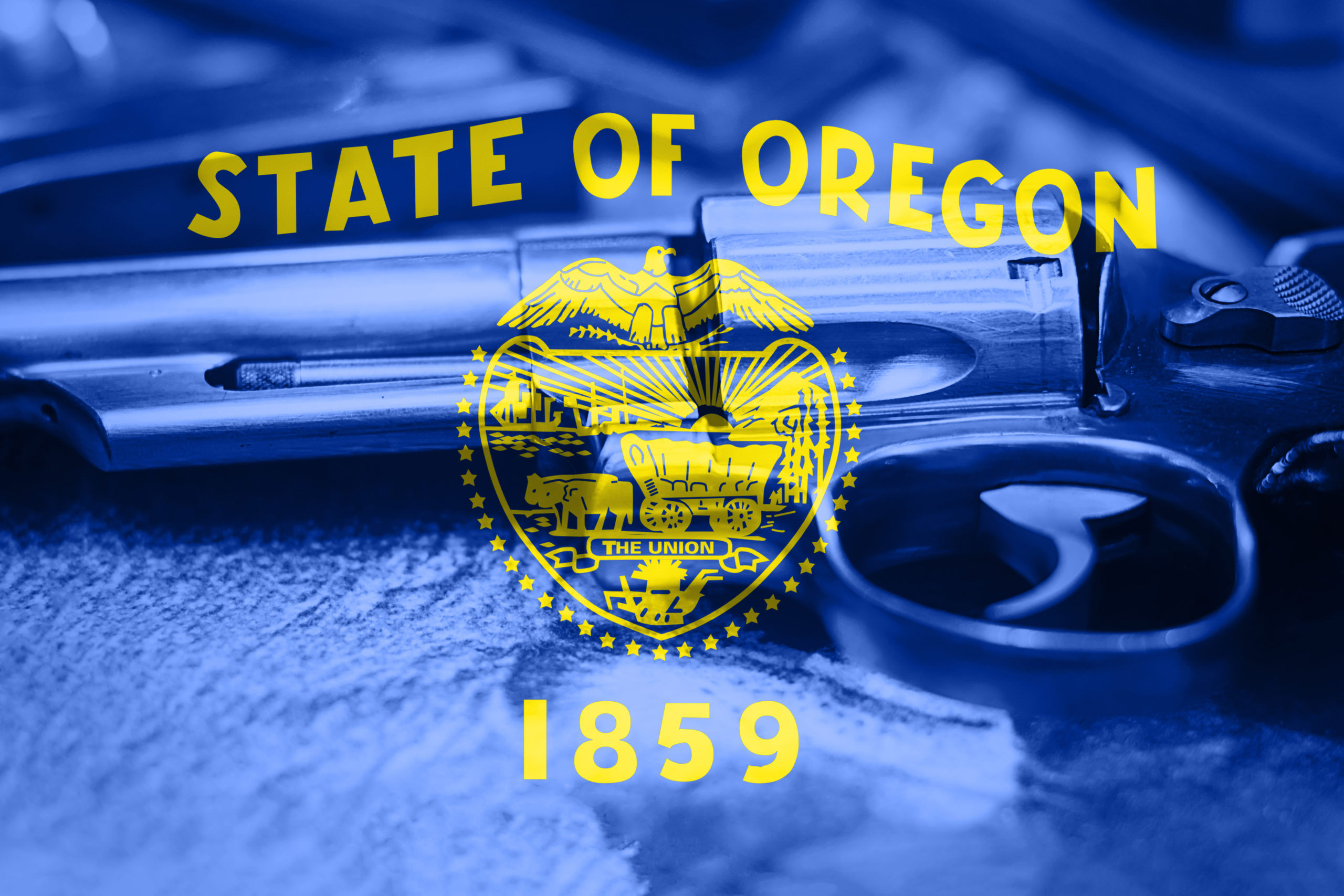 BREAKING: Court Blocks Oregon’s Ballot Measure 114