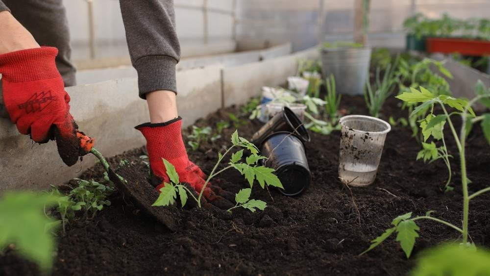 Human Composting