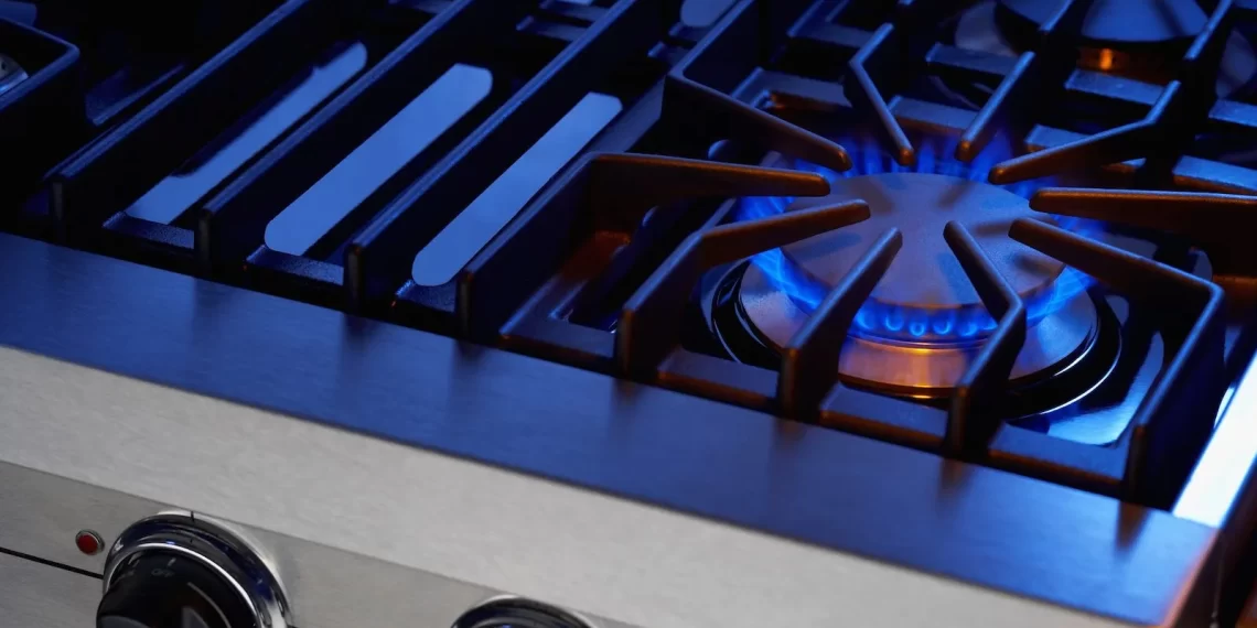 REVEALED: World Economic Forum Partner Behind Sudden Push to Ban Gas Stoves