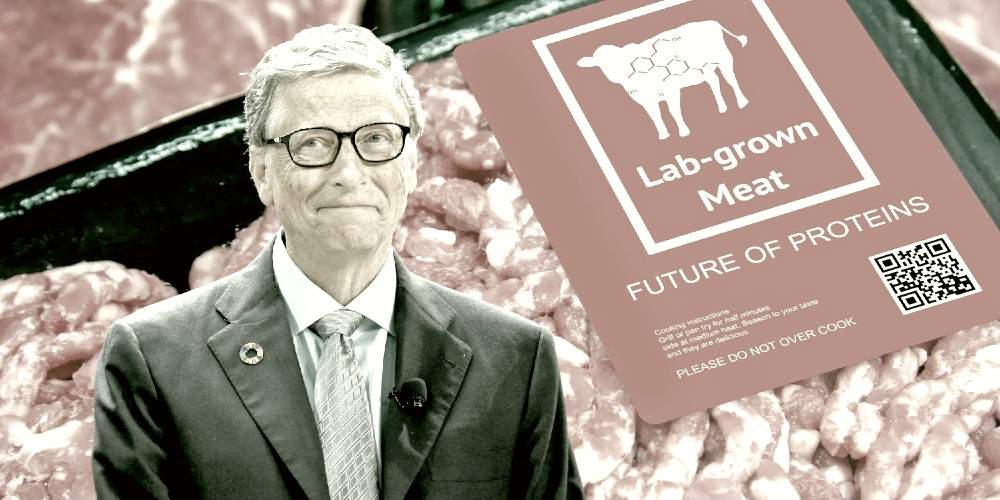 Bill Gates Fake Meat