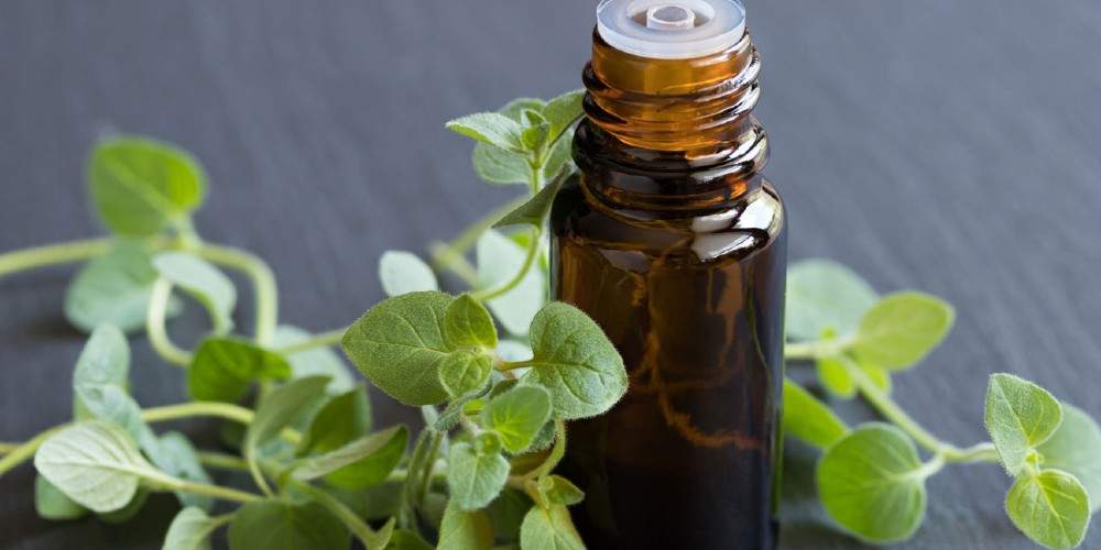 Oregano Oil