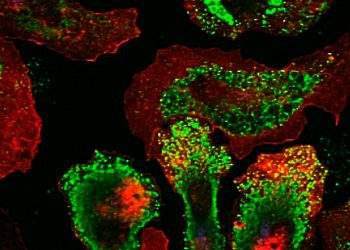 Vaccine Induced Cancer