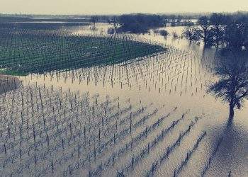 Atmospheric River Hits California Farms
