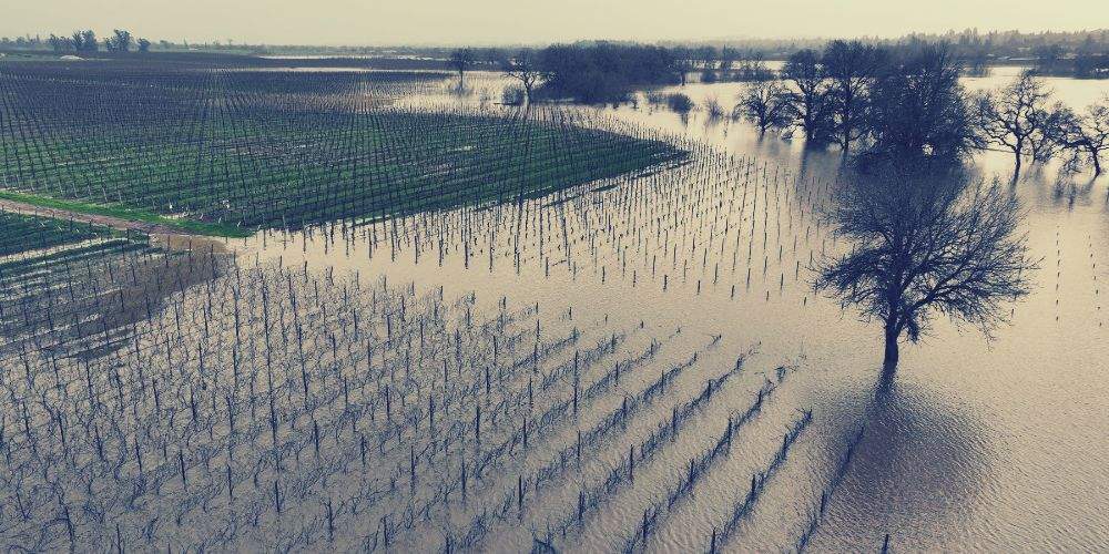 Atmospheric River Hits California Farms