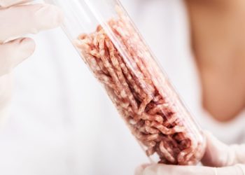 Lab-Grown Meat (1)