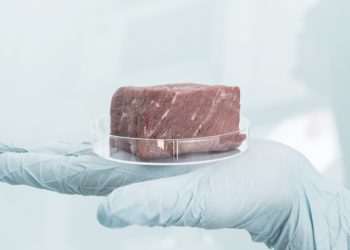 Cultivated Meat