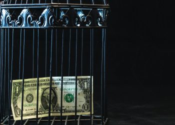 Dollar (2)