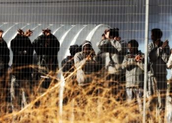 Border Crisis