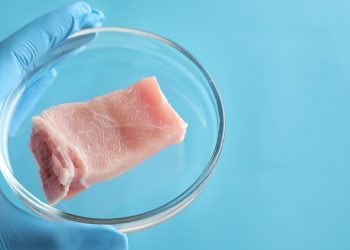 Lab-Grown Meat